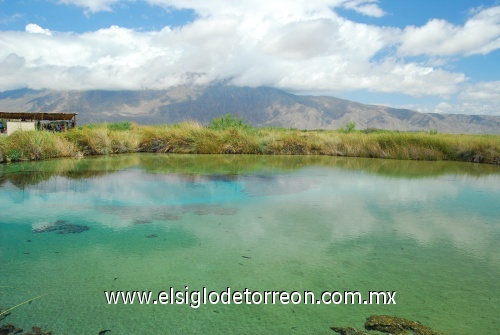 La poza Azul en Cuatrociénegas, Coah. Abril 2008. Por: Juan Carlos Torres