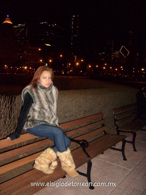 Millenium Park, Chicago.