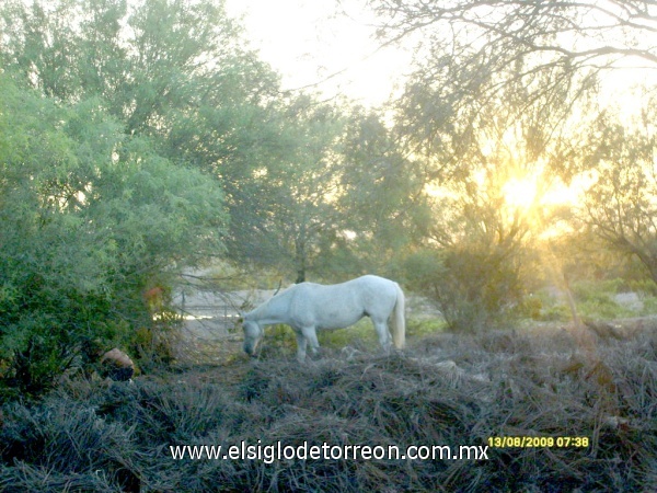 Amanecer ranchero en Margaritas del norte.