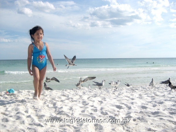 Llarely en las playas de fotr walton Florida