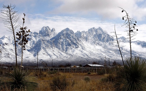 La oficina del Servicio Nacional del Clima (NWS) alertó que con la tormenta invernal, podría acumularse  hasta cinco centímetros de nieve en el suroeste de Texas, y que el fenómeno se moverá hacia el centro y norte del estado.