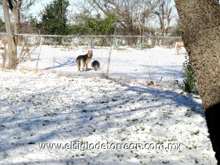 Foto tomada después de haber nevado en arlington tx