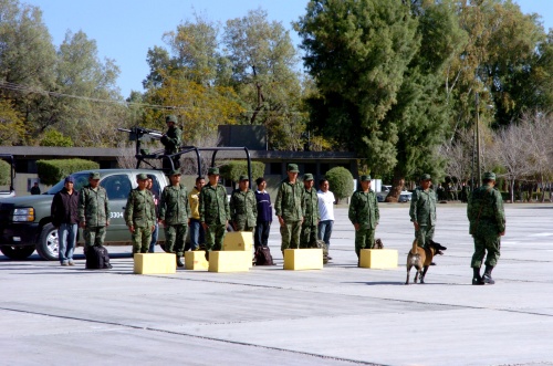 Soldados del 33 Batallón de Infantería de Torreón realizaron una demostración con perros entrenados para detectar droga, en la celebración del Día del Ejército, en el que se resaltó la lucha contra el crimen.