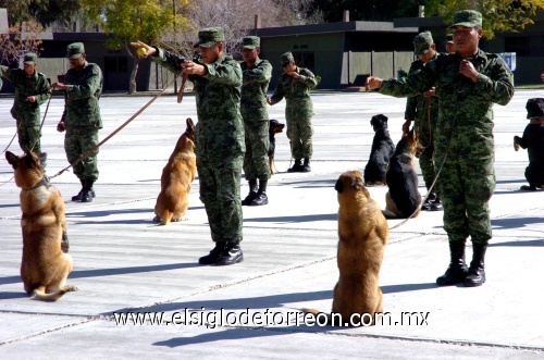 El Ejército celebró su día con una demostración de habilidades militares en la onceava región militar, la cual abrió sus puertas a los visitantes.