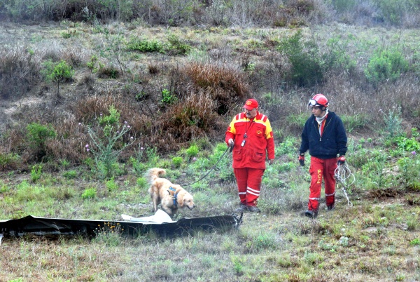 Las autoridades investigan, con el apoyo de perros especializados las versiones de un supuesto séptimo fallecido en el lugar del accidente, lo que no ha sido confirmado.