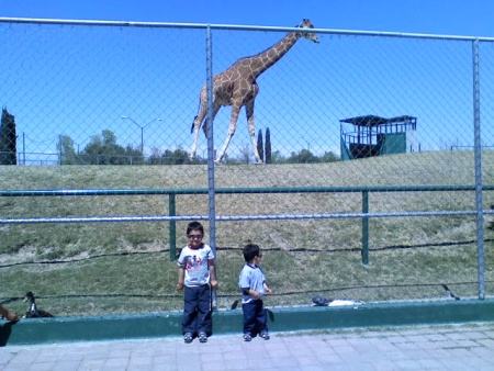 Fernando y André Romero en el parque central de Cd. Juárez, Chihuahua. Fotografía enviada por Miriam Contreras.