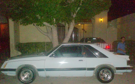 Mi mustang.