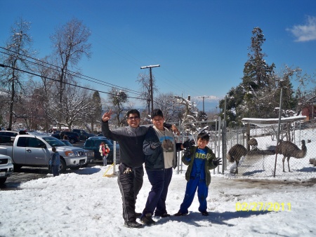 Paseo Familiar por la Nieve en Big Bear California. Fotografía enviada por Pedro Tovar.