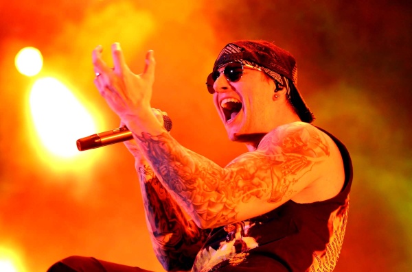 'Save me' cerró el espectáculo de manera melódica, hecho que no aminoró la euforia causada por los rockeros, durante los 90 minutos en los que M. Shadows, Synyster Gates, Zacky Vengeance, Johnny Christ y Arin Ilejay, hicieron retumbar con su propuesta el Palacio de los Deportes.