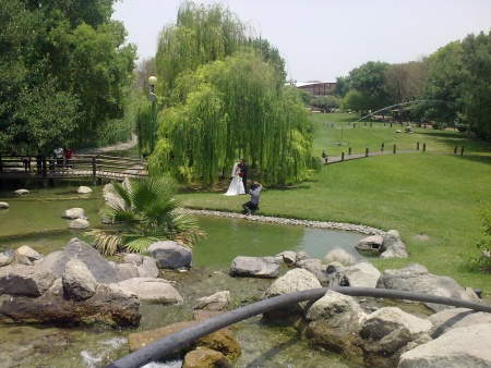 El día de mi boda con Jose Luis Alvarado en el Parque Fundadores (chequen el hermosos paisaje) Fotografía enviada por Perla Aurora bedoya.