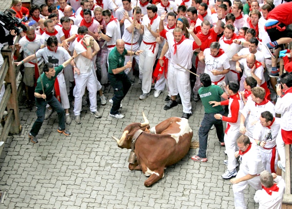 Poco menos de dos minutos y medio tardaron los astados en completar los 850 metros que separan los corrales de Santo Domingo de la Plaza de Toros, en cuyo callejón se quedó tumbado un manso cuando ya los bureles habían entrado en el coso.