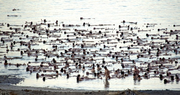 La sesión comenzó con un cuidadoso chapuzón multitudinario en el mar, cuya alta concentración en sal hace que los cuerpos floten sin esfuerzo.