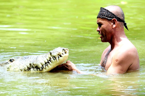 Los habitantes de la comunidad de Siquirres (unos 70 kilómetros al este de San José) han preparado un entierro para el enorme animal, cuyo espectáculo con Chito atraía a decenas de turistas y curiosos cada domingo para ver los juegos entre ambos.