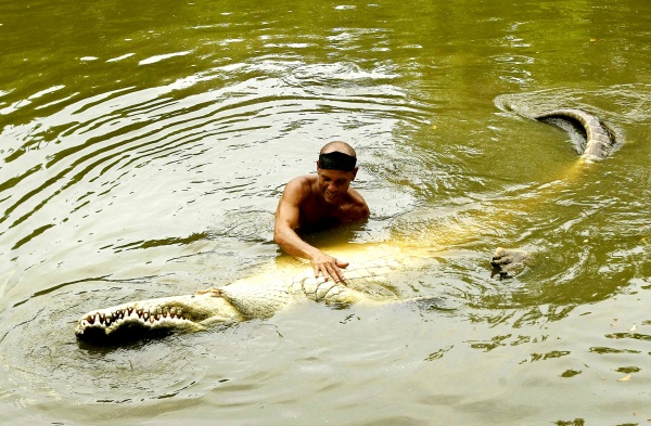 Shedden, mejor conocido como Chito, contó que tras varias horas de no ver al animal en la laguna en la que vivía, decidió entrar al agua a buscarlo y lo halló muerto.