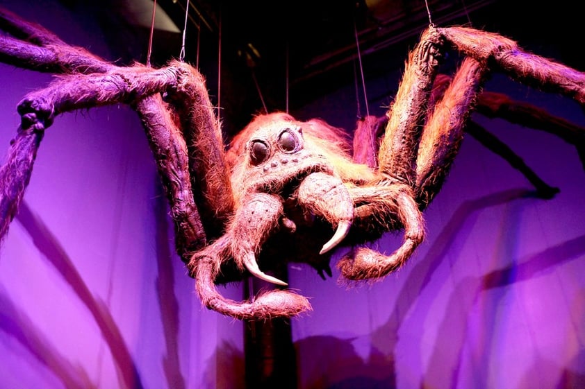 En los estudios están algunas de las fabulosas criaturas soñadas por Rowling, desde la tarántula ciega Aragog hasta el elfo Dobby.