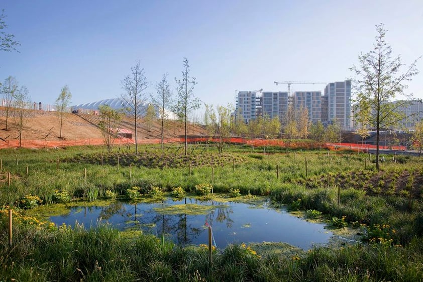 5.- El Comité Olímpico de Londres se unió a la campaña para proteger al medio ambiente, por lo que buscando revertir el daño que podría causar la realización de la justa en este país, se comprometieron a plantar cuatro mil árboles en las instalaciones olímpicas, donde incluso el primero de ellos fue plantado por la reina Isabel II.