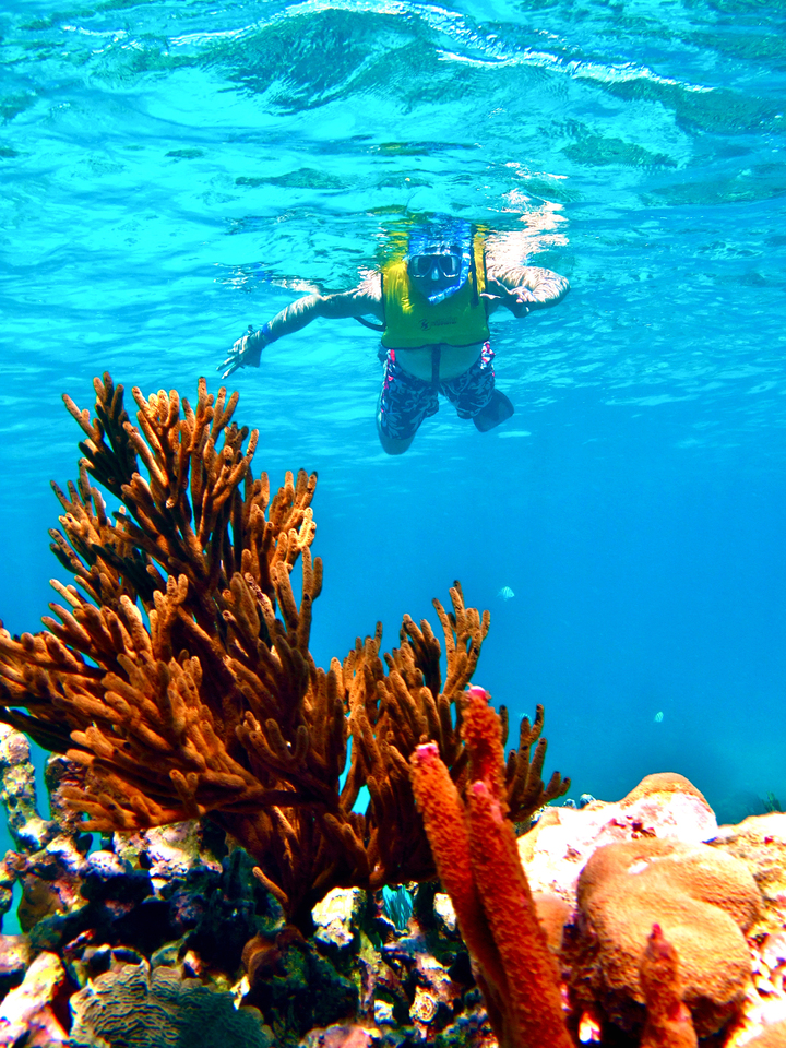 Nadando en arrecifes de coral en Akumal Beach, Cancún.