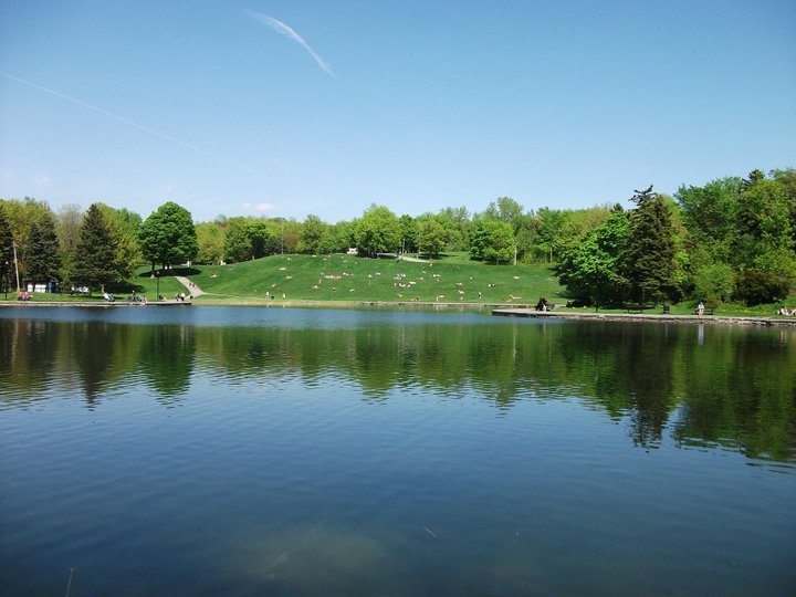 Un rico día de verano en Mount Royal en  Montreal, Quebec,Canada