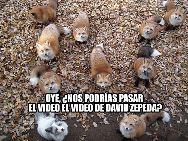 David Zepeda causó revuelo con la filtración del video.