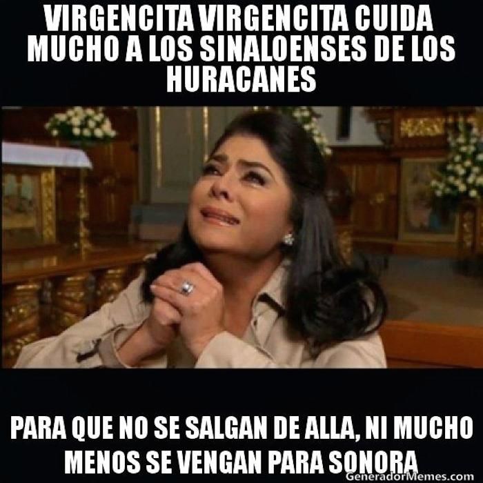 Algunos internautas piden cuidar a los habitantes de Sinaloa para que no emigren a Sonora.