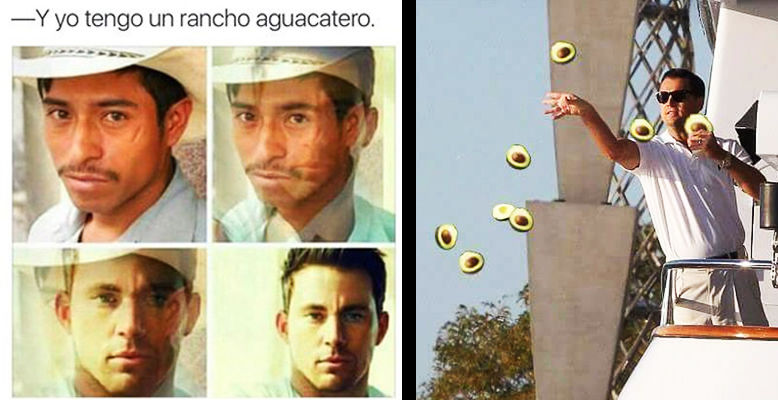 El precio del aguacate se 'disparó' y con ello también los memes.