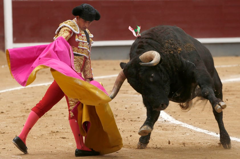 Dentro de los renocimientos del torero en su trayectoria destacan sus nombramientos como Mejor Novillero de Bilbao, Mejor Novillero de Santander, Alfarero de Oro, entre otros.