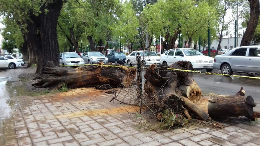 El agua se coló en las casas dañando los muebles de las personas.