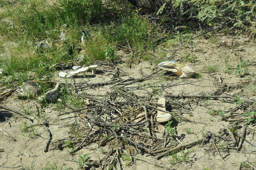 Hasta el momento no ha sido posible la identificación de los restos, ya que las 30 muestras de los 52 integrantes de Grupo Vida no han coincidido tampoco con los registros de Fuerzas Unidas por sus Desaparecidos en Coahuila (Fuundec).