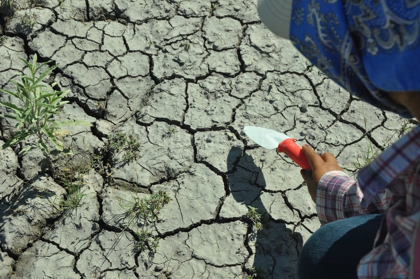 Del total sólo fueron útiles 25 piezas, ya que las condiciones del resto impidió la toma de ADN; la mayor parte se encontraba calcinada.