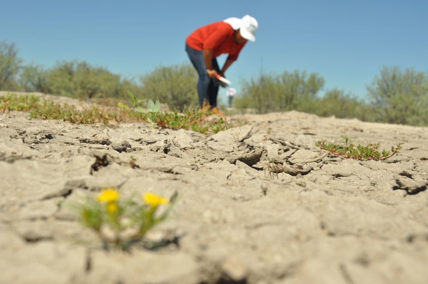 En abril de 2015, Grupo Vida extendió la búsqueda de sus desaparecidos al ejido Patrocinio.