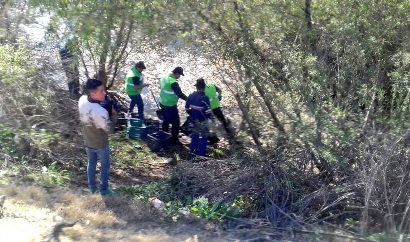 La entonces directora municipal de Medio Ambiente informó que este estudio lo realizó el propio personal de la dependencia, en coordinación con el Fondo Mundial para la Naturaleza, que es una de las organizaciones más importantes del mundo, con la capacidad para tomar diversas muestras, analizarlas y elaborar un estudio respaldado. No se dieron los resultados.