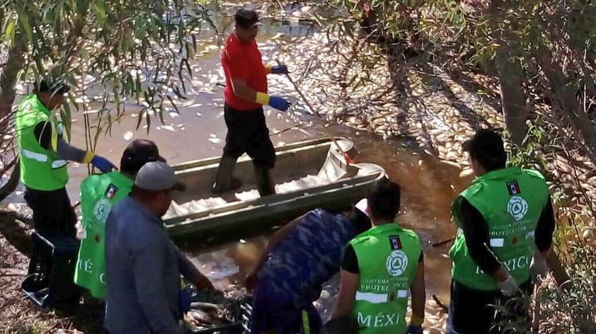 Es de recordar que ante la evidente contaminación en el río El Tunal, las autoridades municipales emprendieron desde el año 2015 la elaboración de un estudio para determinar el grado de afectación en este caudal, que es uno de los más visitados por los duranguenses.