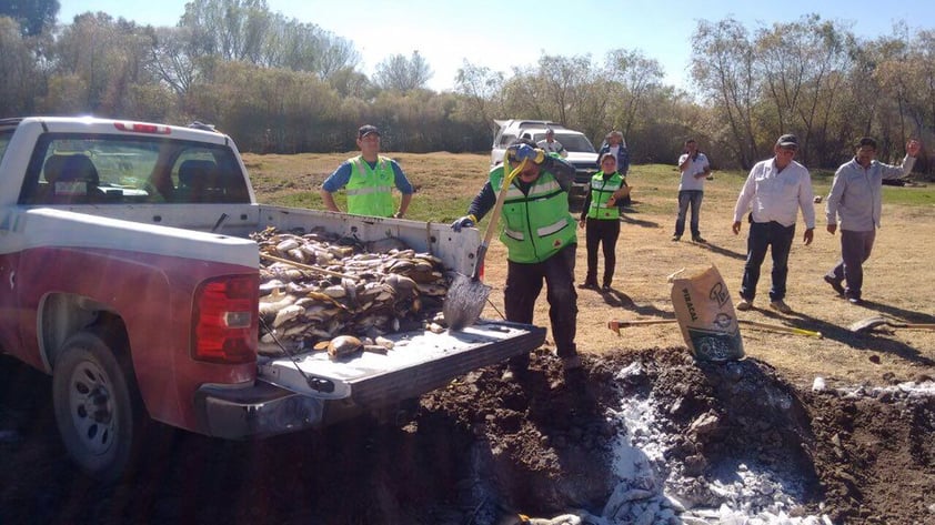 La mortandad de peces en el Río Tunal, en Durango, se debió a la liberación de agua residual cruda de la Planta de Tratamiento del Sistema de Aguas Municipales, informó la Procuraduría Federal de Protección al Ambiente (Profepa).