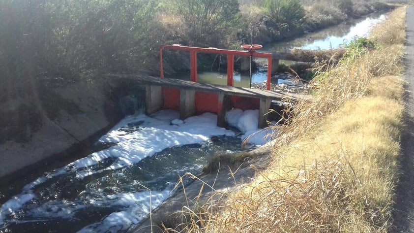 Rodolfo Corrujedo Carrillo, director de Aguas del Municipio de Durango (AMD), niega que las aguas residuales que salen de la Planta de Tratamiento Oriente (PTAR) sea la causante de la mortandad de los peces en el Río Tunal.