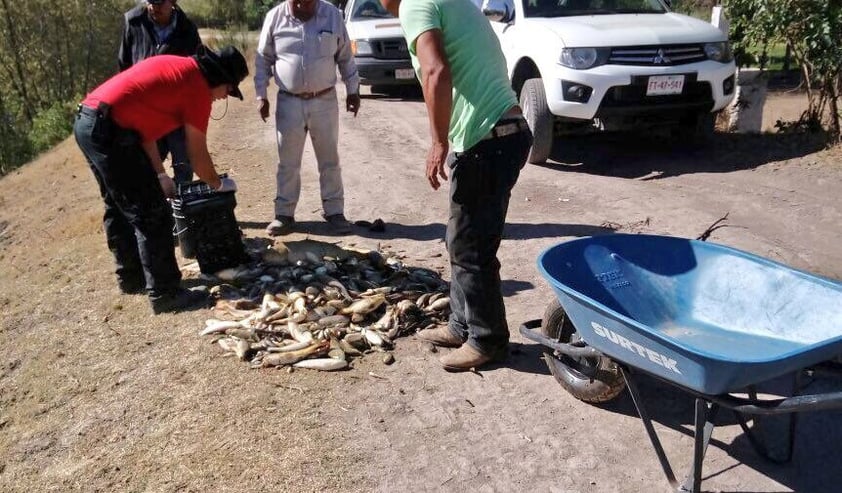 Así lo señaló Juan Ramón Sifuentes Rosales, director del Sistema Estatal Sanitario de la Secretaría de Salud, quien aseguró que se toman medidas para evitar cualquier brote epidemiológico y para vigilar la sanidad del agua.