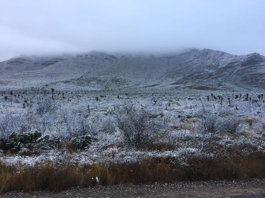 La Unidad Municipal de Protección Civil de Múzquiz reportó la nevada en las áreas del rancho Cerro Bola, El Melón y Maderas del Carmen, en la serranía de Coahuila.