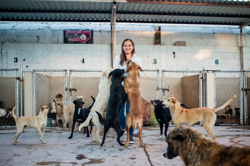 “Ayudarlos es mi pasión, me hace feliz verlos que logran encontrar una nueva casa. Me hace feliz sacarlos de un problema social y darles un hogar. A veces me pongo a llorar cuando se va un perro que tiene muchos años aquí pero me hace feliz. Es una forma de ayudar a la sociedad”.