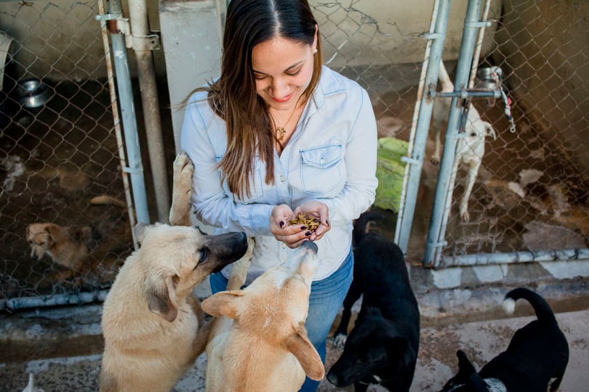 Algunos observan fijamente la puerta y esperan que Martha salga con ellos. Cuando finalmente lo hace, acompañada de su hija Isabela, de siete años, todos los animales se abalanzan contra ellas.