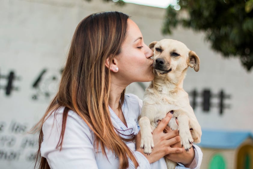 A partir de ahí su labor no ha parado. “Para mí era muy difícil ver pasar a los perros en la calle y cerrar los ojos, no hacer nada. Decidí ser activista y realmente hacer algo por ellos”.