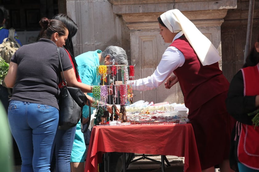 Si bien la presencia de alacranes en la capital es de todo el año, durante la temporada de calor se incrementan las picaduras.