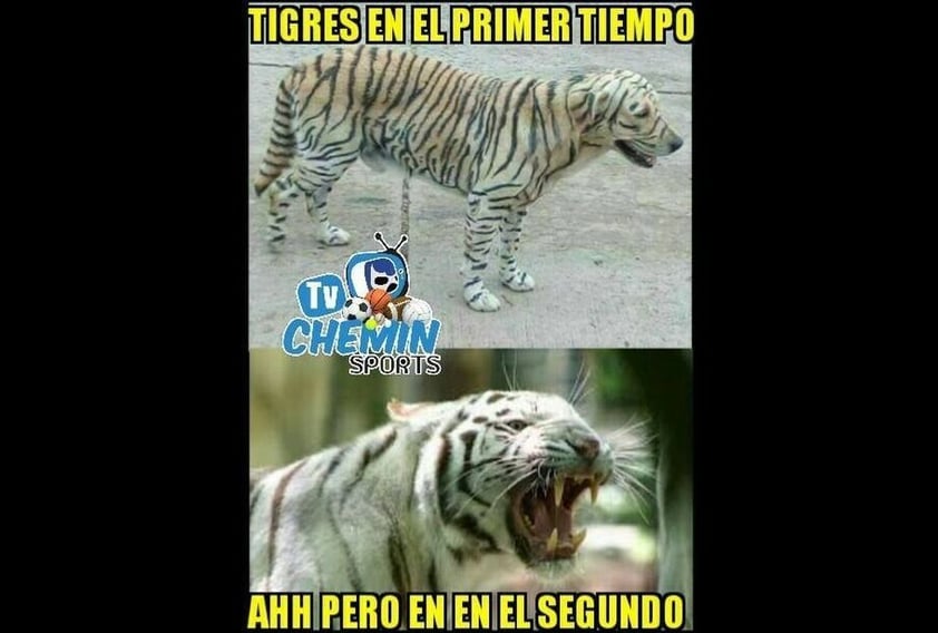 Los memes no perdonan a las Chivas