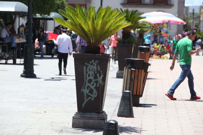 El vandalismo se manifiesta también en zonas altamente vigiladas.