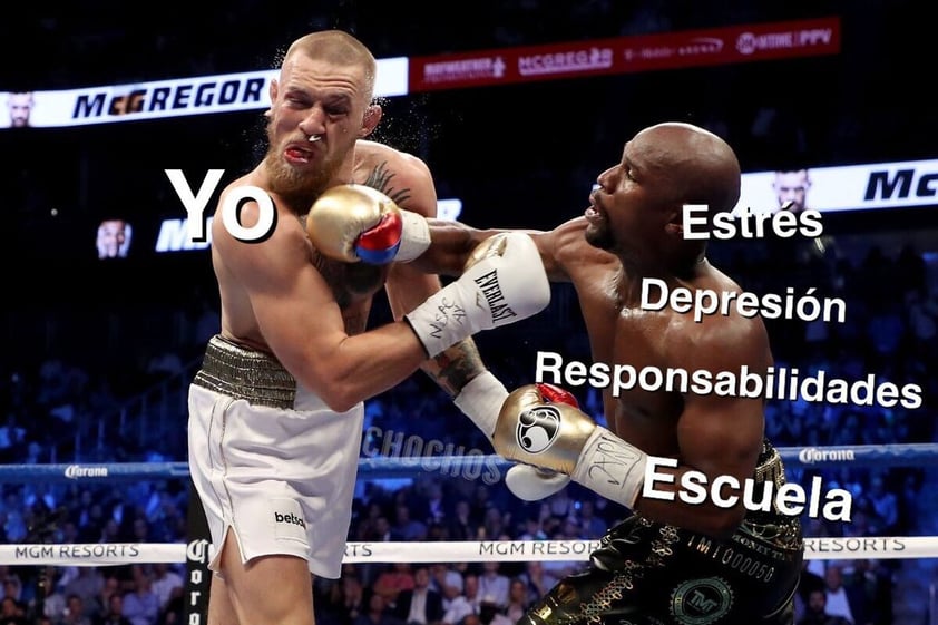 Mayweather y Mcgregor son golpeados por los memes