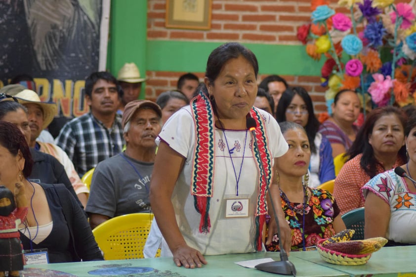 28 de mayo. Nombramiento | El Congreso Nacional Indígena y el EZLN nombran a María de Jesús Patricio Martínez, indígena nahua de Jalisco como su vocera y posible candidata independiente a la presidencia en 2018.