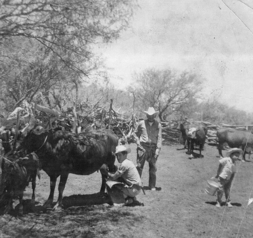 14012018 JosÃ© Solito Mancha, Isauro Mancha y JosÃ© Manuel Mancha en el Rancho Palmira ubicado en Ocampo, Coahuila, en 1967.