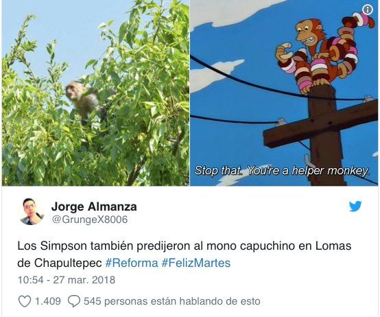 Fue dado al operativo y unas "ligeras similitudes" con la serie de Los Simpsons, que usuarios compartieron imágenes del mono en sus redes sociales.