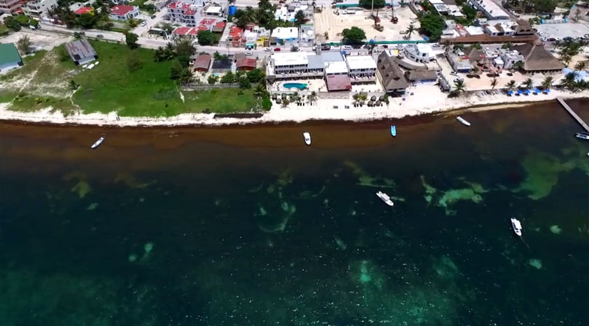 Las miles de toneladas que se extienden a lo largo de la costa tiñen de ocre la orilla de mar, contrastando con el tono azul turquesa que caracterizan las aguas del caribe.