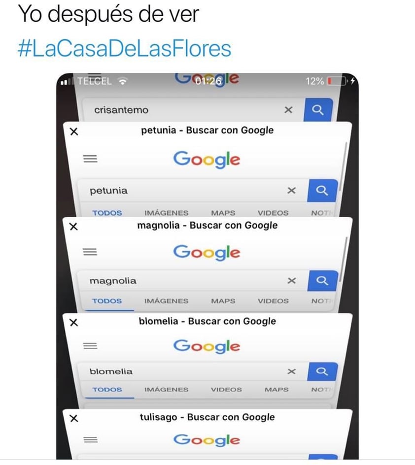 La casa de las flores desata memes tras su estreno