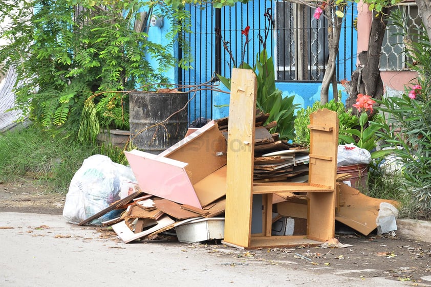 Desde el sábado pasado se iniciaron acciones especiales de limpieza.