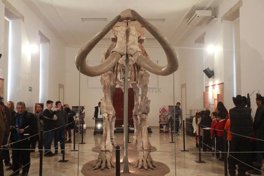 Con esta exhibición del mamut es la oportunidad para difundir las investigaciones más recientes que se han realizado en la entidad duranguense y que se han desarrollado en el ámbito de la arqueología y paleontología en Durango.